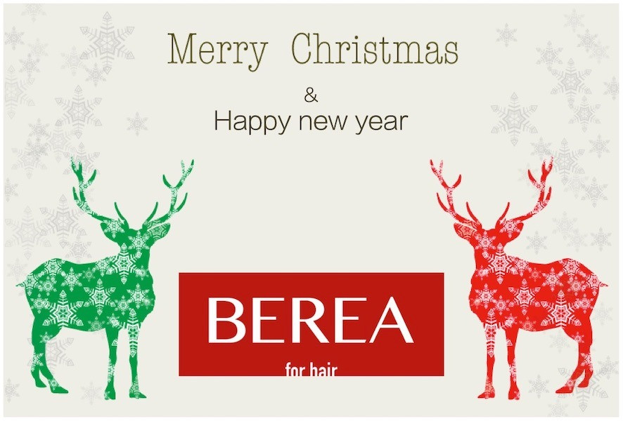 Merry Christmas & A Happy New Year！姫路市の美容院BEREA(ベレア)はお客様のキレイを叶える美容室／ヘアサロン